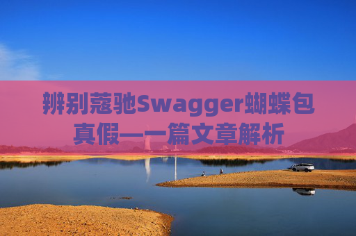 辨别蔻驰Swagger蝴蝶包真假—一篇文章解析